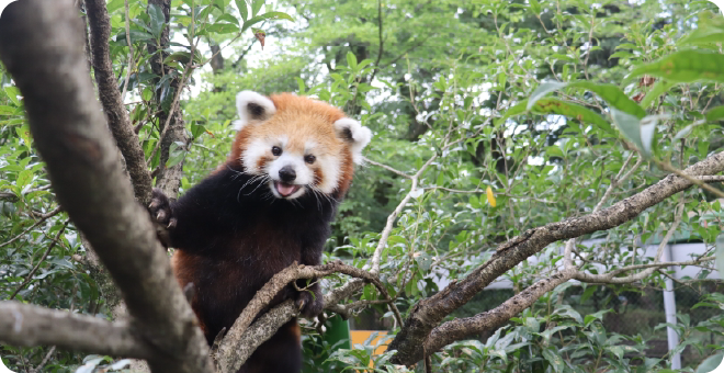 ヒノトントンＺＯＯ（羽村市動物公園）