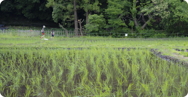 大沢の里