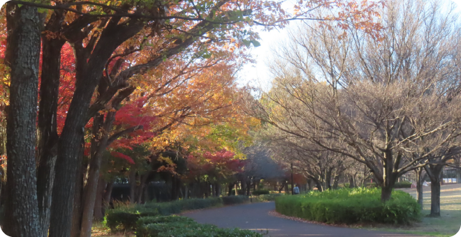 東村山中央公園